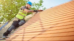Best Roof Ventilation Installation  in Bee Ridge, FL