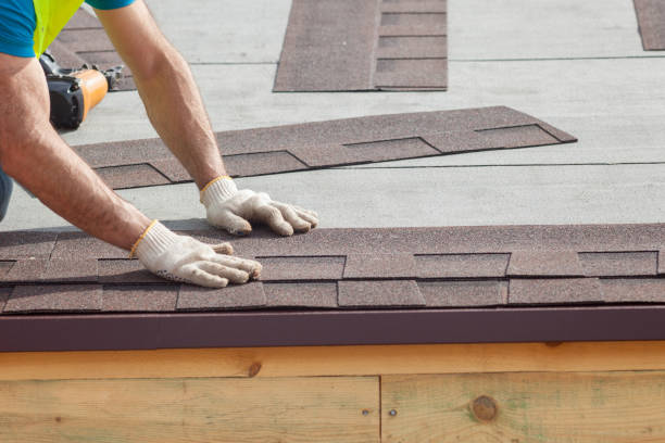 Best Roof Insulation Installation  in Bee Ridge, FL